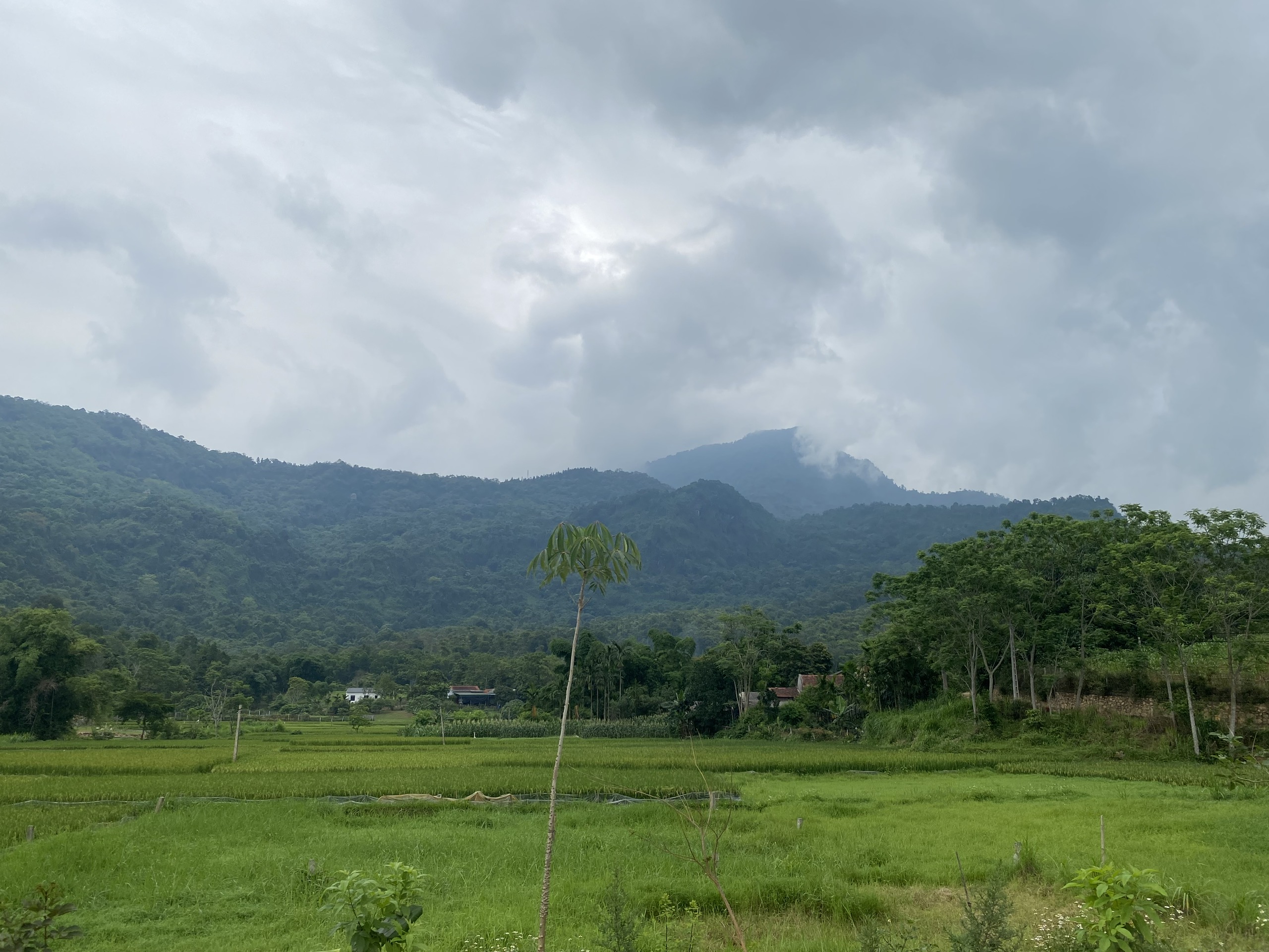 Bán 615M_100M thổ cư bám đường bê tông 15M, cách đường tỉnh 91 100M_trung tâm Ba Trại Ba Vì_3 tỷ - Ảnh chính